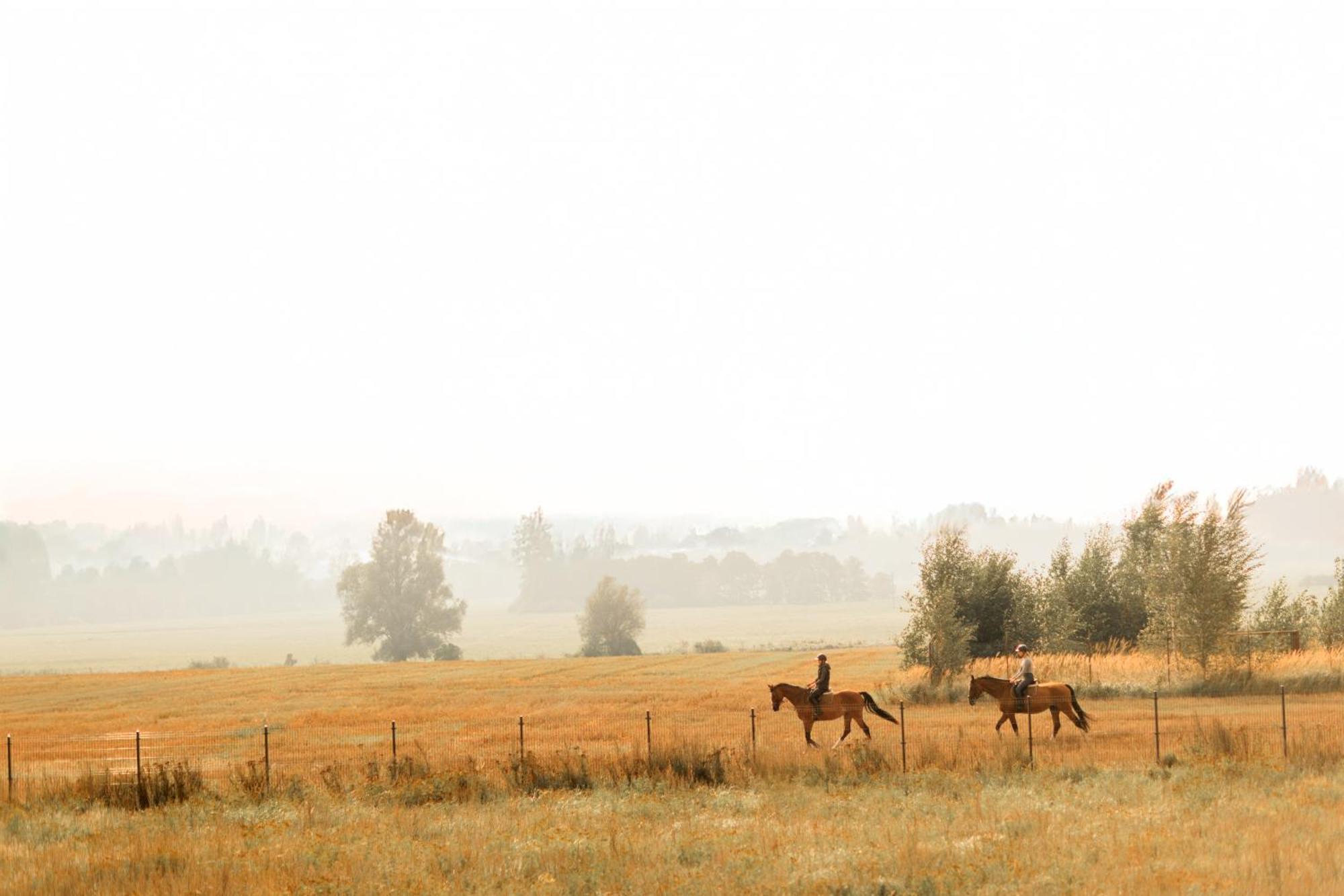 Pura Slow Life Houses- 450 M Od Morza Trzęsacz 外观 照片